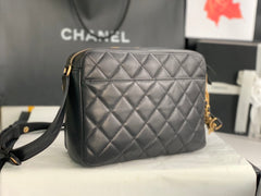 Chanel Popular Camera Bag
