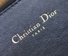 Dior CD Signature Elliptical Camera Bag