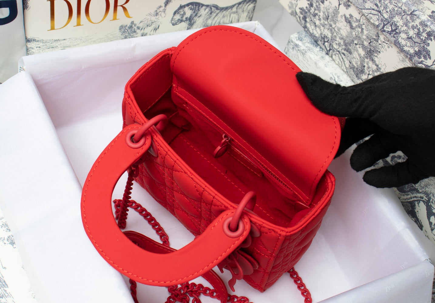 Mini Lady Dior Bag