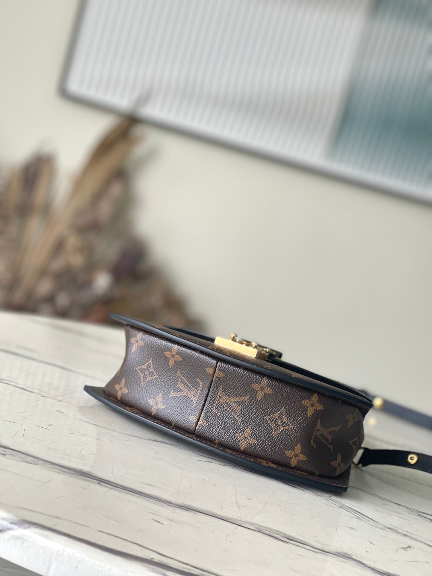 LV Tilsitt Monogram Bag