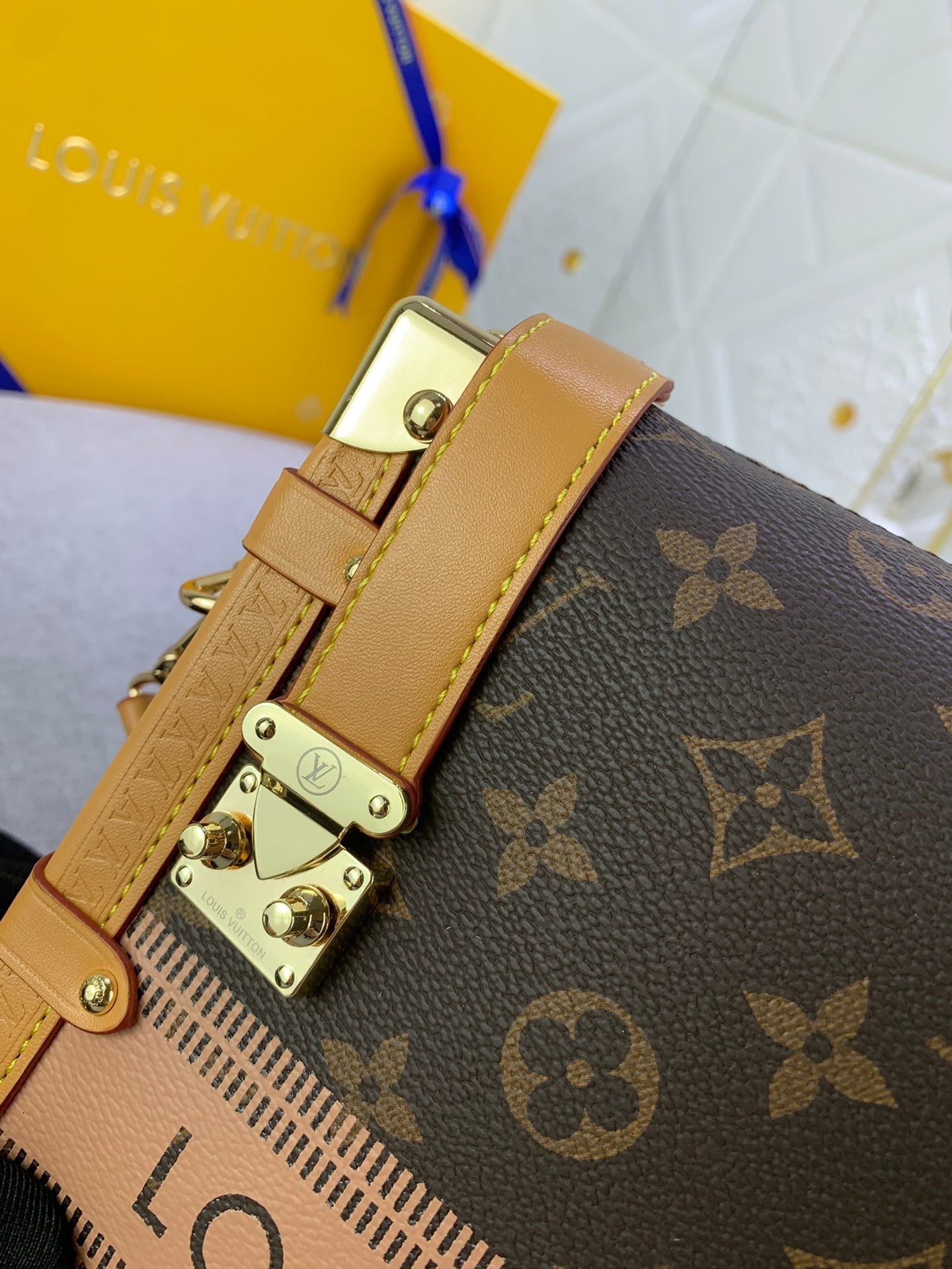 LV Side Trunk Monogram