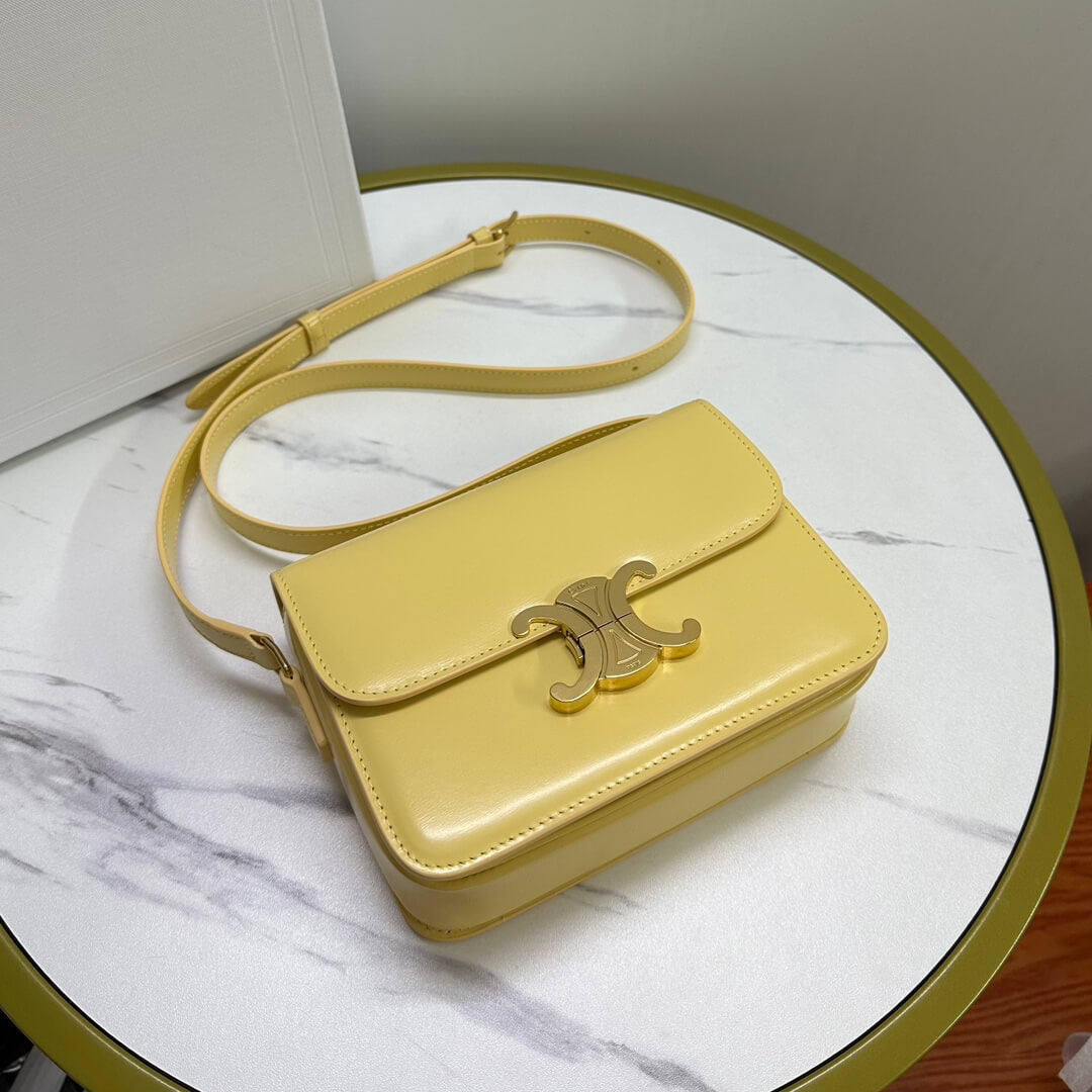 Celine Medium Triomphe Bag