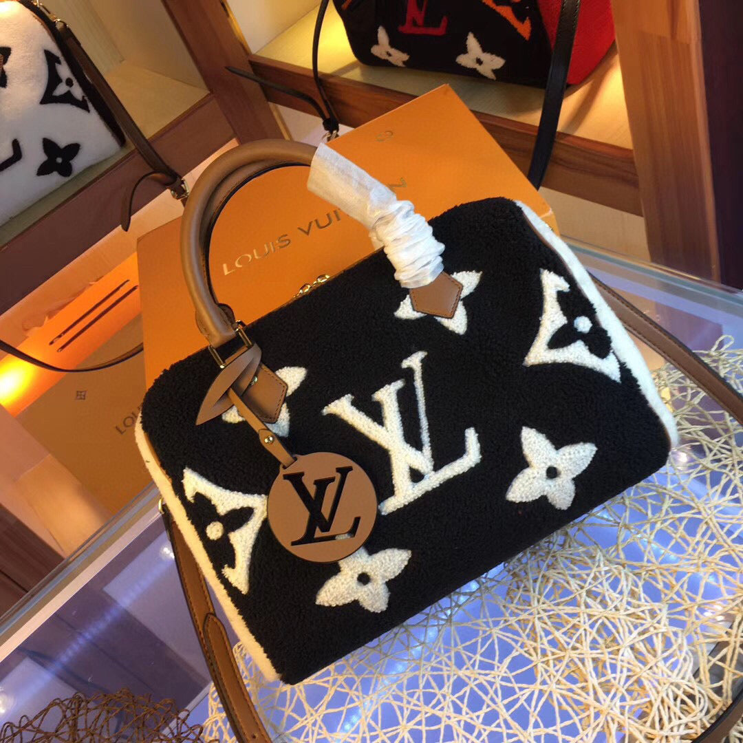 LV Speedy Teddy Bag