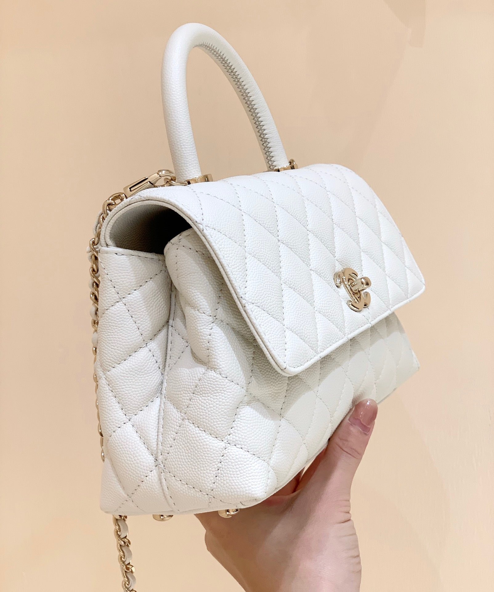 Chanel coco Handle Bag