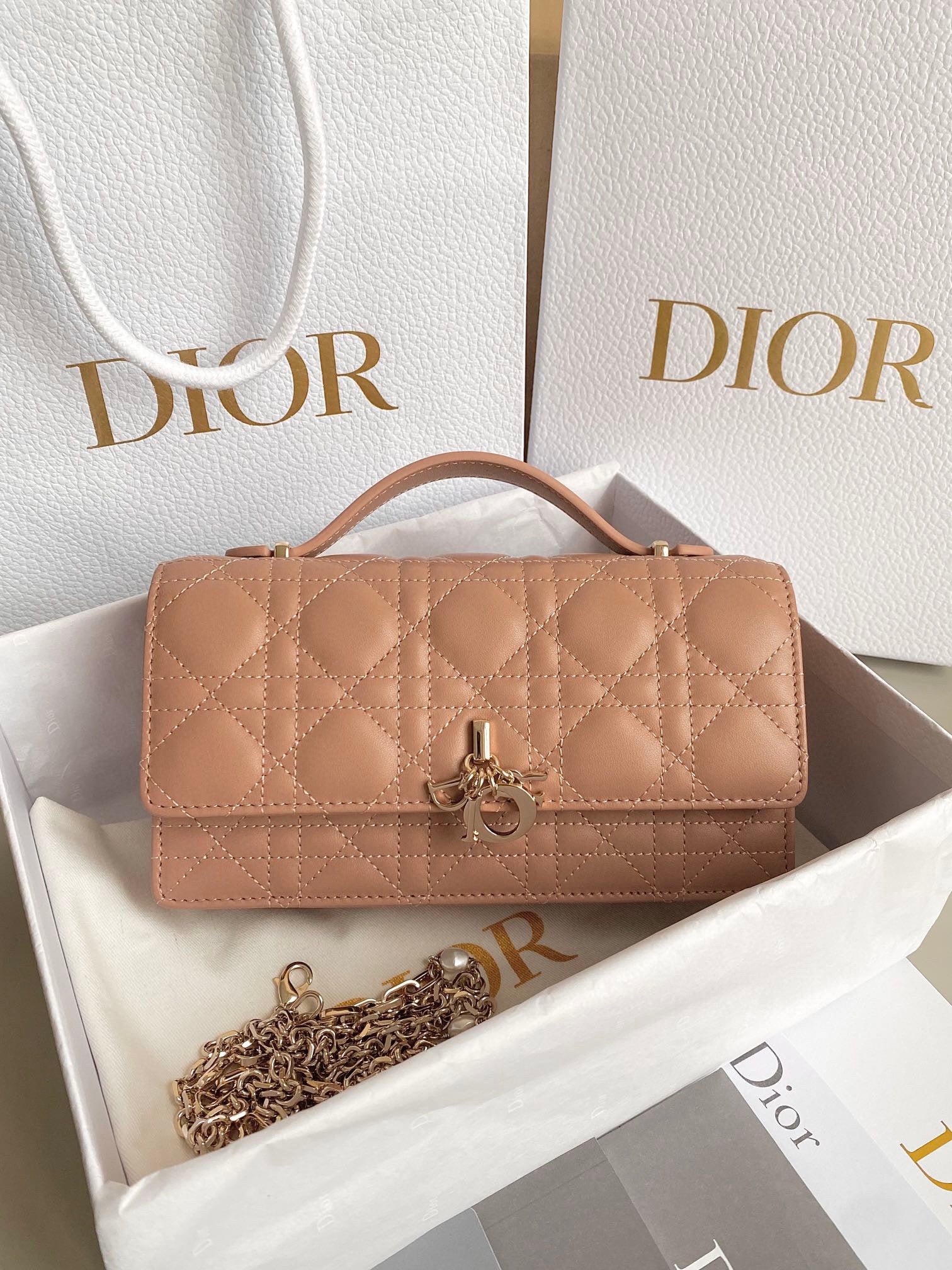 Lady Dior Top Handle Bag