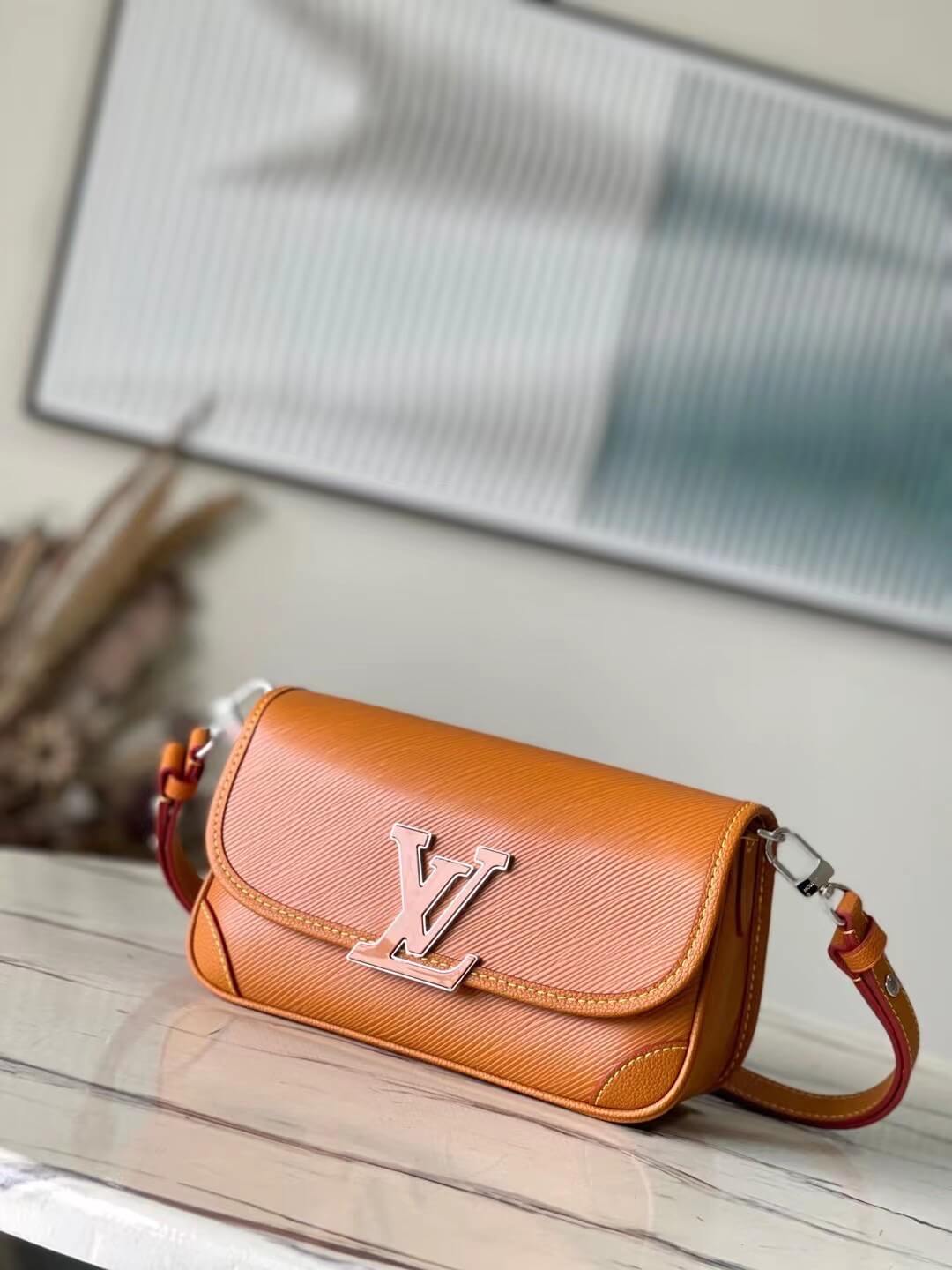 LV Buci Bag in Dark Brown