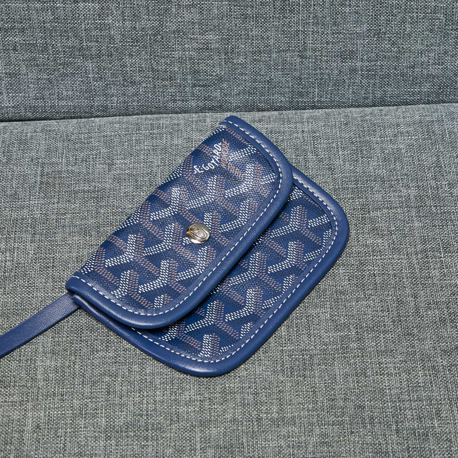 Goyard Mini Tote Bag